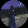 faeriemoth